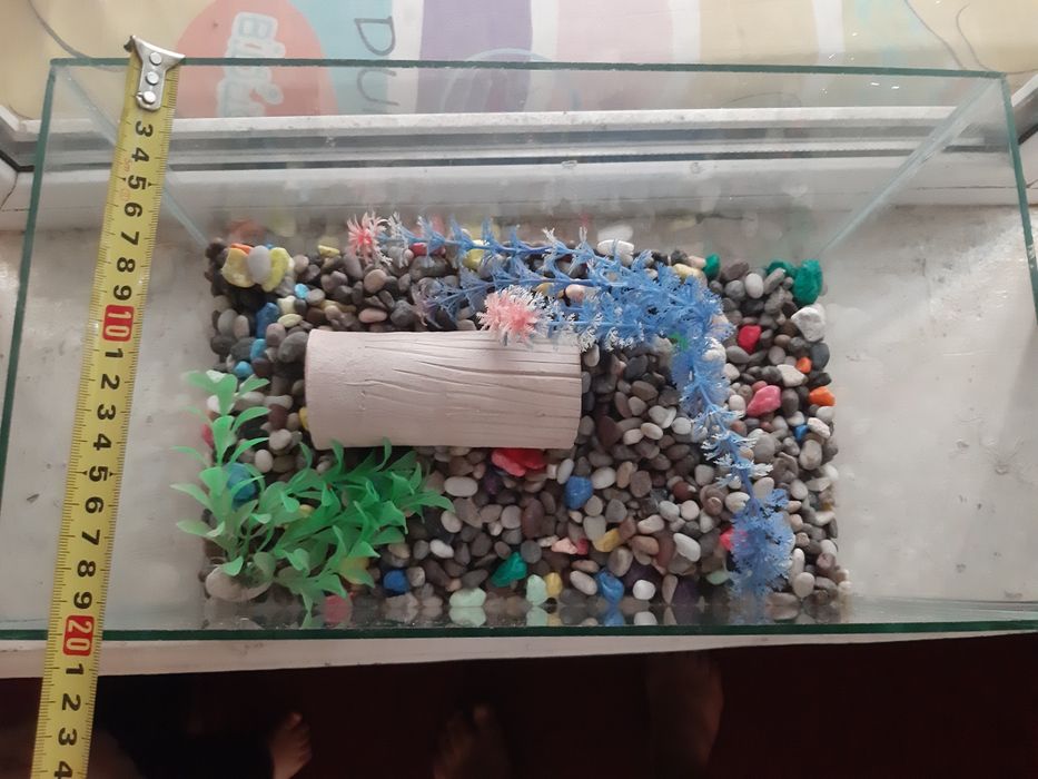 Sifatli akvaryum sotiladi 20x20