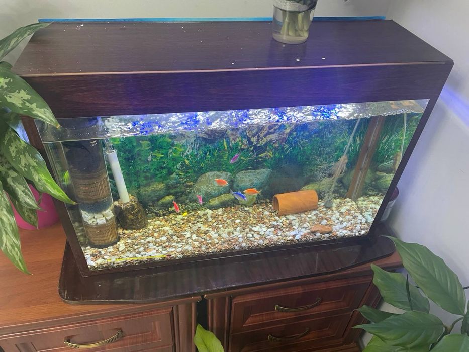 Продается 2 акаариума