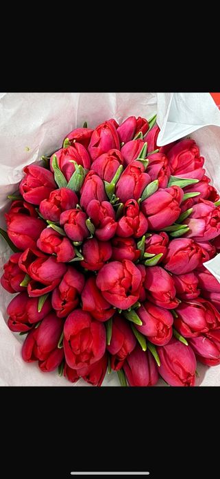 Предлагаю пионовидные тюльпаны.