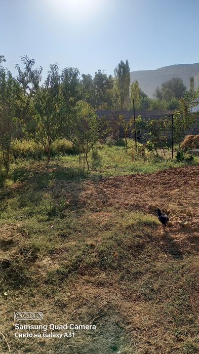 Участка сотилади сув свет газ бор