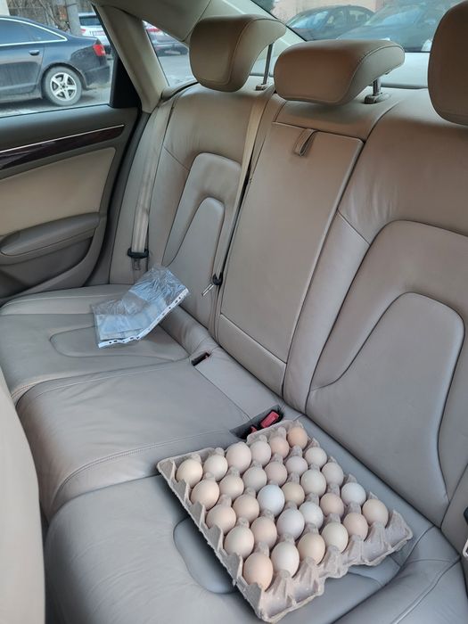Audi A4 b8 2.7Tdi 190cp