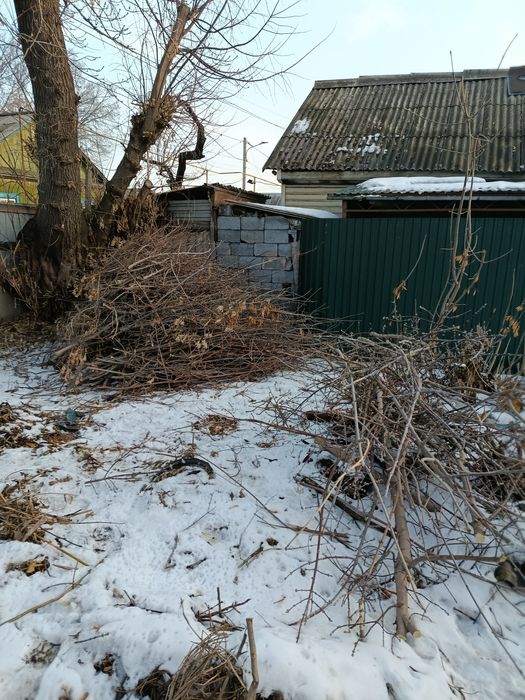 Отдам дрова бесплатно