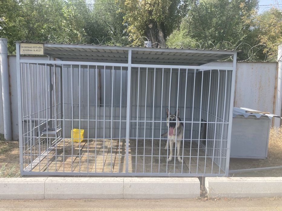 Предлагаю к продаже