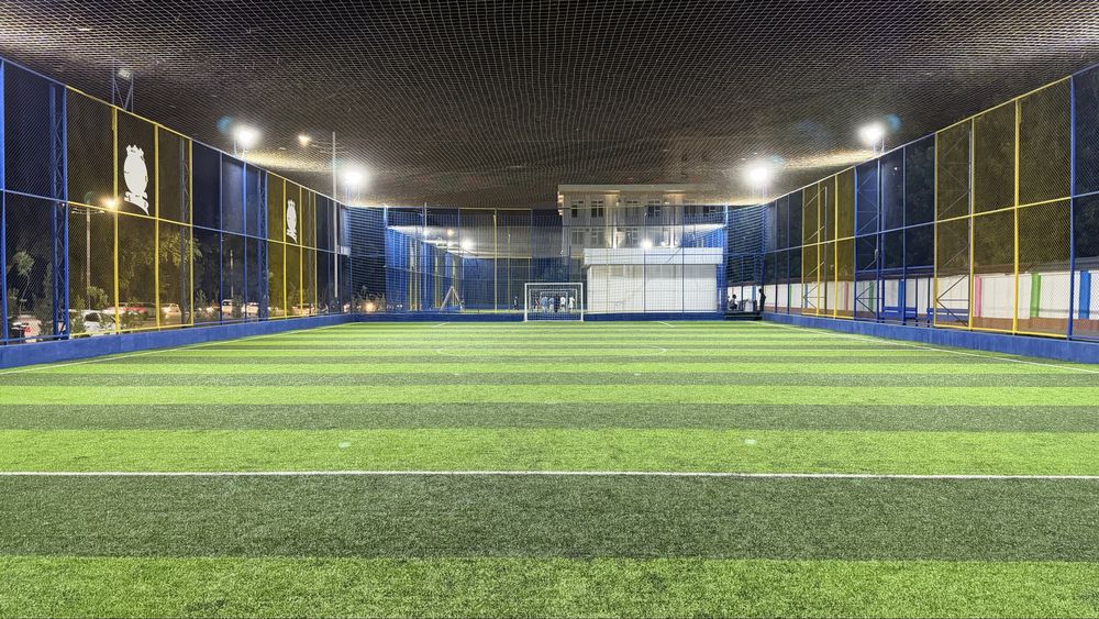Stadion,Polya arenda