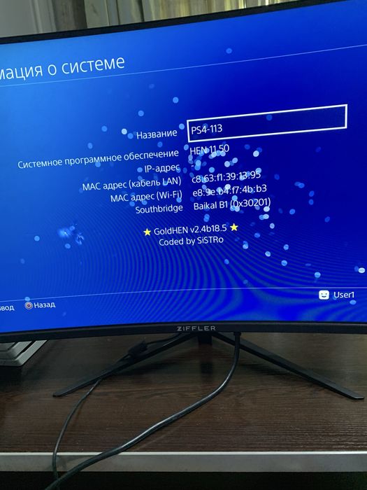 Ps4 pro gold hen 1tb ideal
