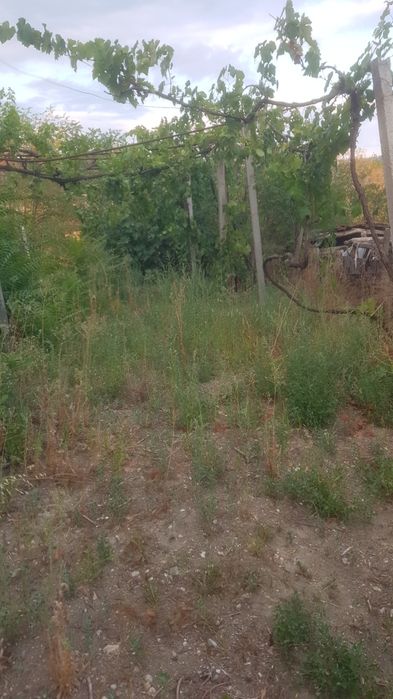 Продава се Къща в с. Ладарево, Област Благоевград - 180 кв.м за 102 €/кв.м - Снимка #8