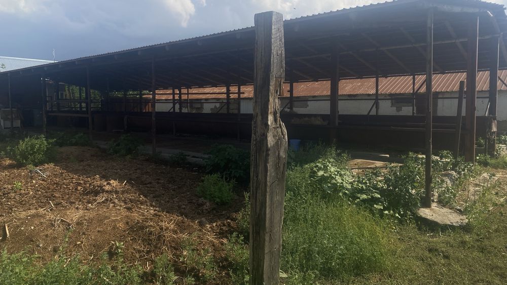 Срочно продается фазенда