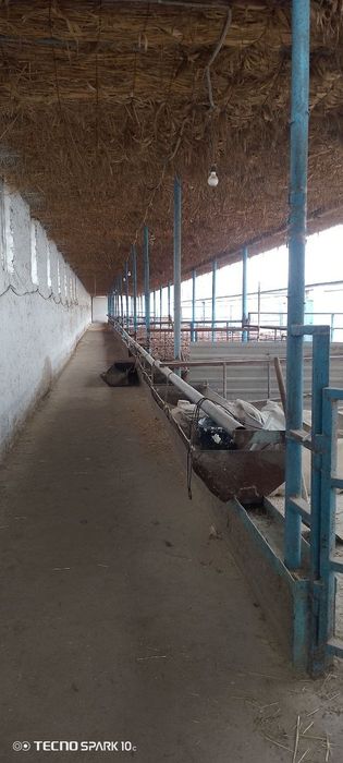 Срочно сотилади. 25 соток Нежилой жой. Толов исталган усулда.