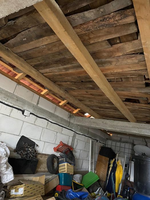 Scandura ,nuc si stejar de 22 de ani