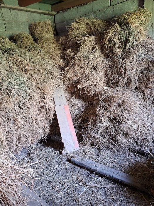 Жоңышқа сатылады