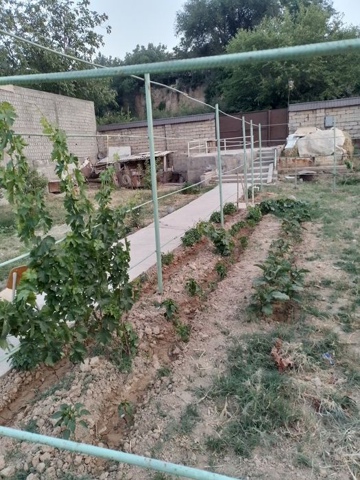 Кирай Батаника хавли жой