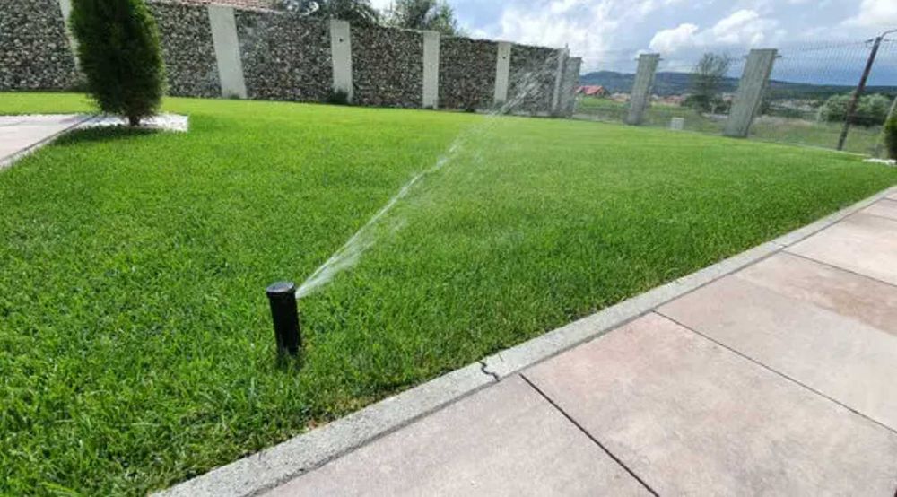 Gazon Rulou de Calitate – Livrare Rapidă și Montaj Inclus