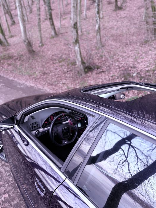 Audi a4 b7 2.0 tfsi (270hp)-mov cameleon