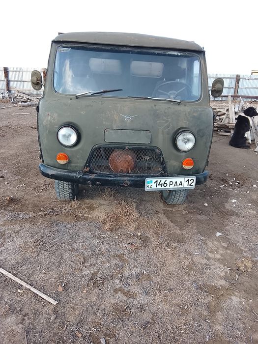 Щенок Алабая девочка 35 дней