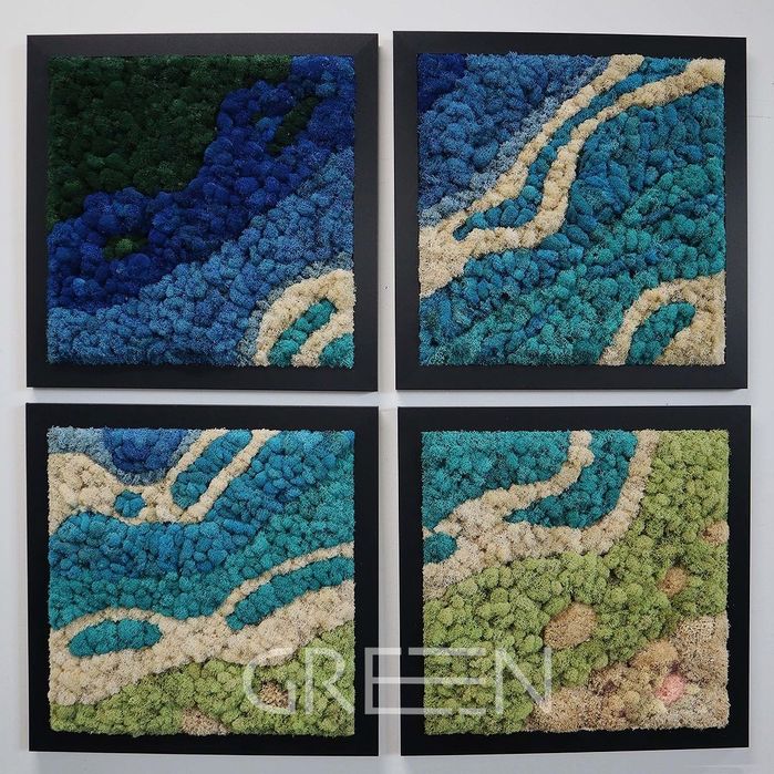 Фито стены . мох . Стабилизированные растения