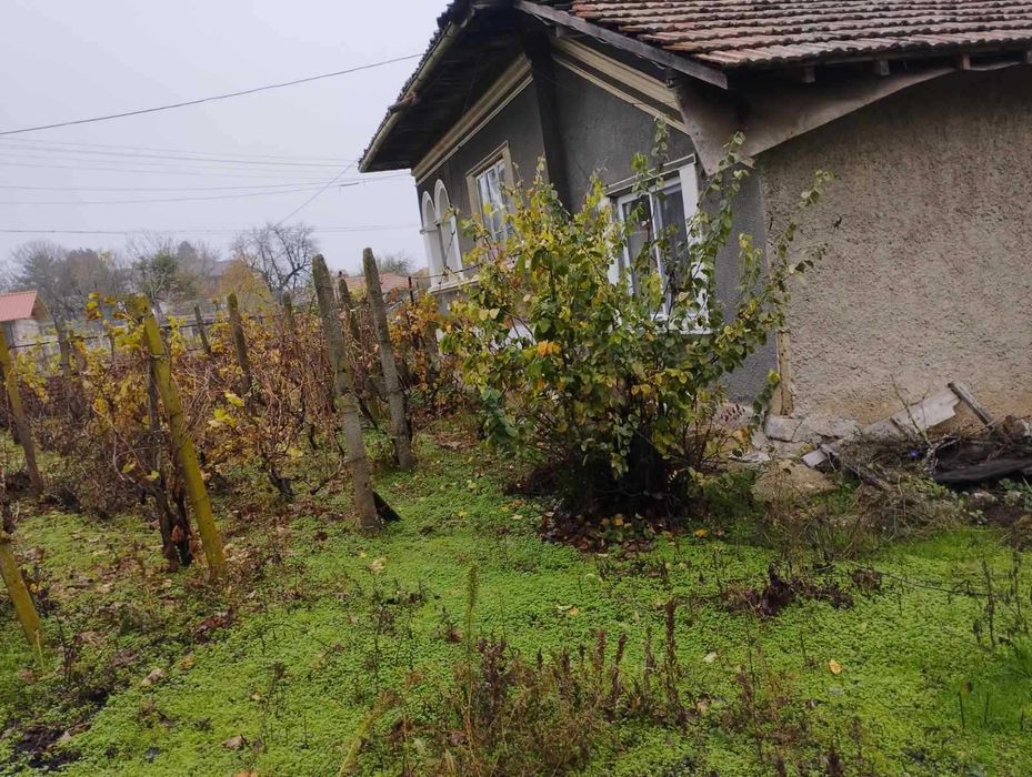 Продава се Къща в с. Сребърна, Област Силистра - 250 кв.м за 92 €/кв.м - Снимка #4