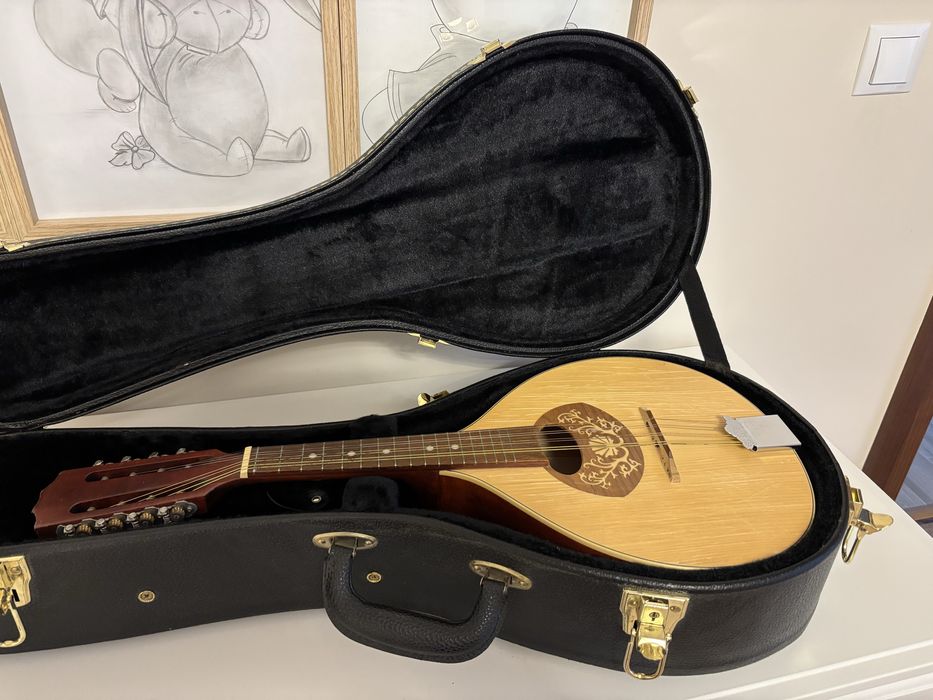 Cutie mandolina,husa ,mandolina