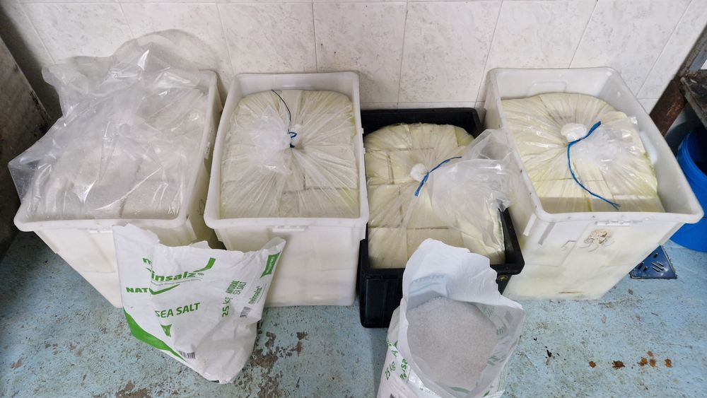 Telemea de oaie 100%