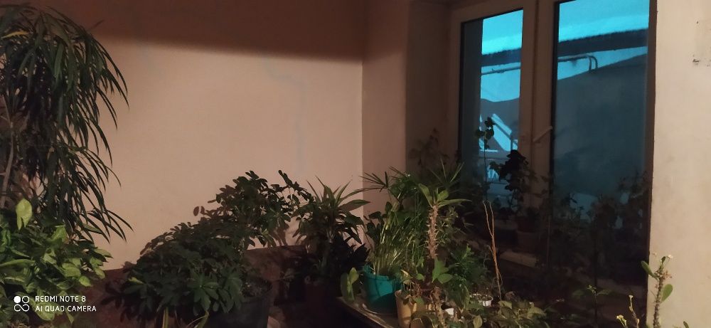 Недвижимость продажа дома