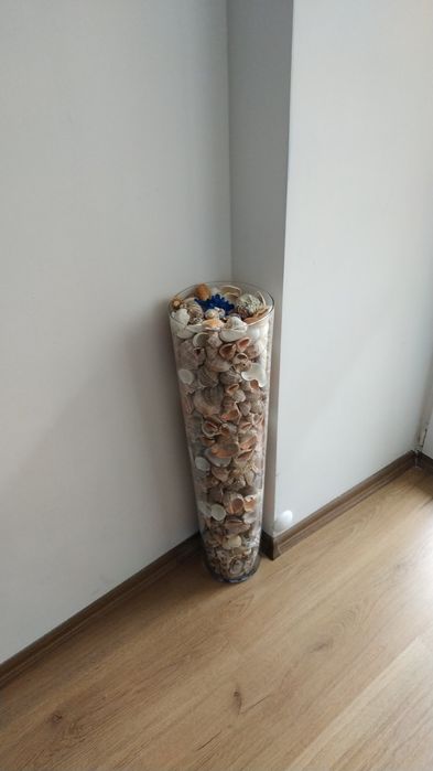 Ваза с миди и рапани **Намалена цена**