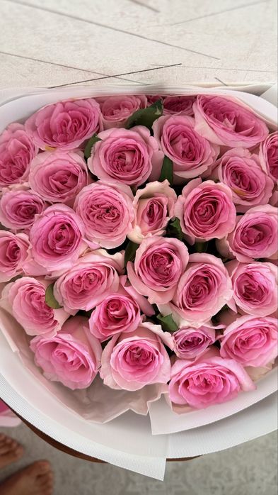 розовые розы 31 шт