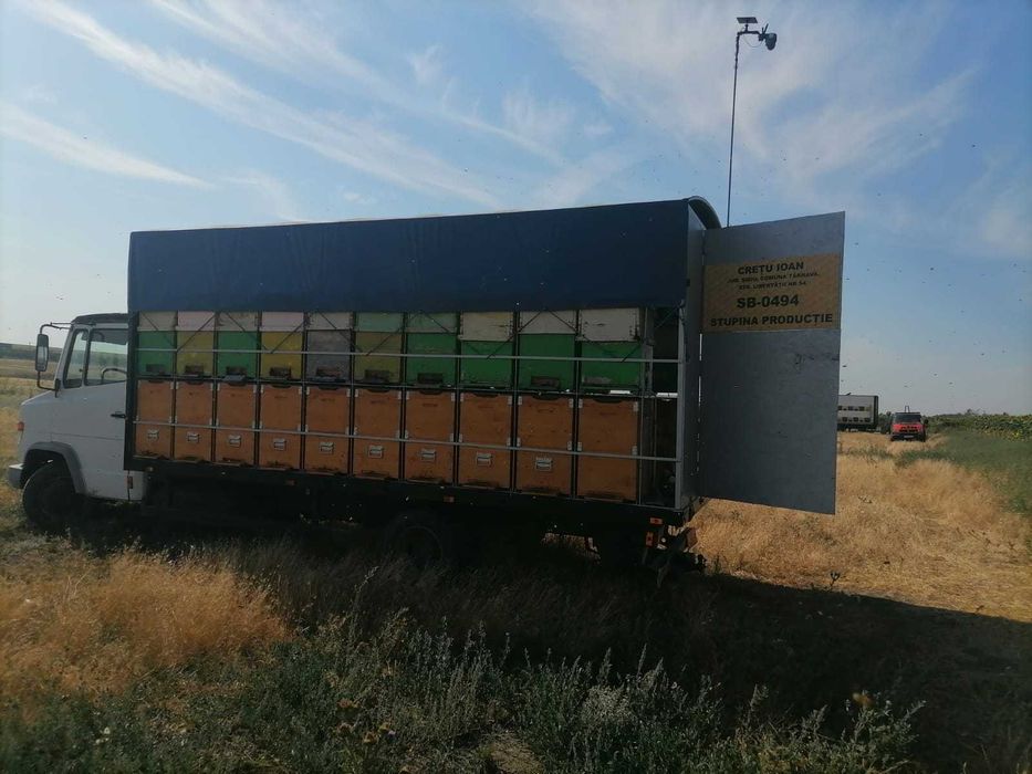 Mercedes-Benz Vario 614, indestructibil