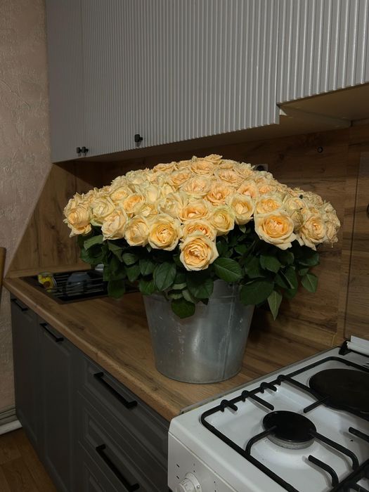 Цветы роза 201штук торг есть