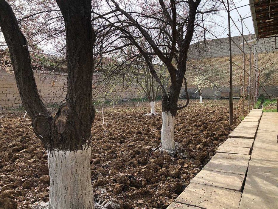 Назарбек, Тарновдан 2.5 сотих ер бўлаги сотилади