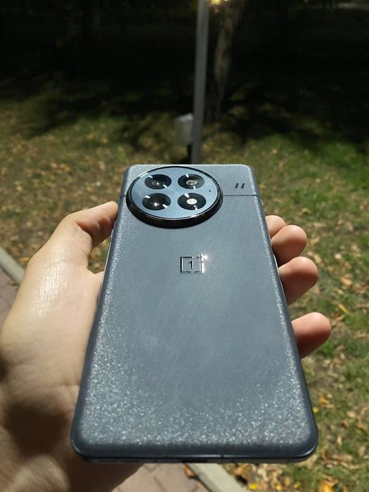 One Plus 13 12/256 глобал обмен