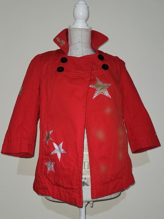 Hainuta pictata manual