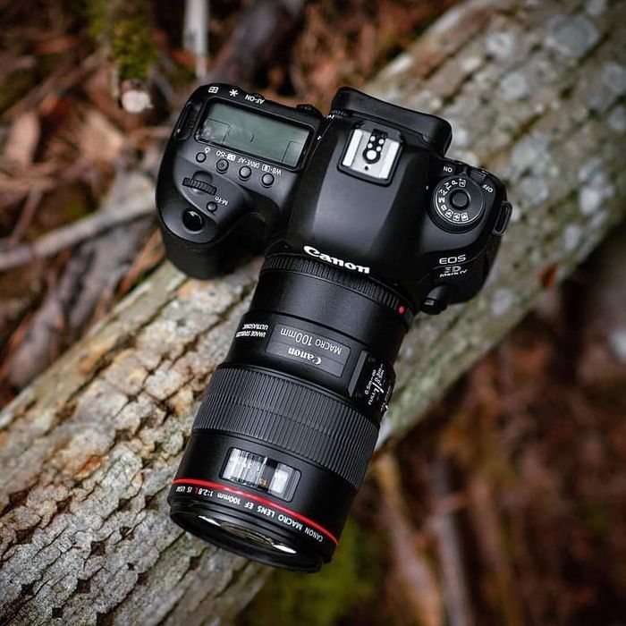 Fotosessiya xizmatlari va foto albomlar
Toʻy uchun
Uchrashuv
Raddom
Tu