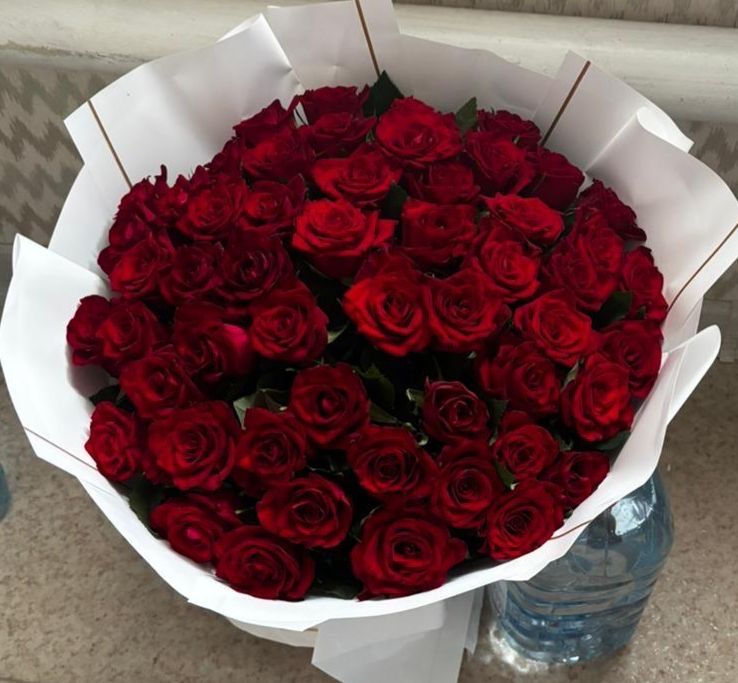 цветы роза 51 штук