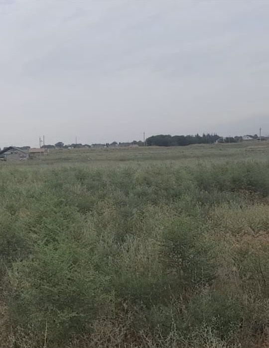 50 соток жер сатылады ХА