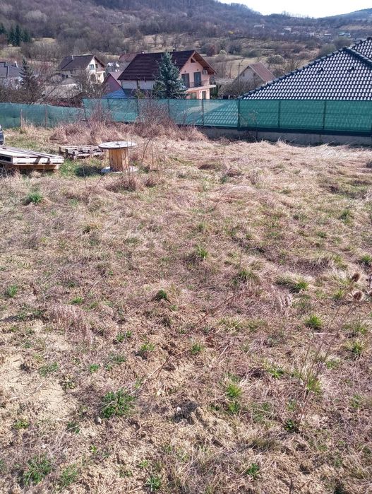 Vând teren intravilan strada Codrului Nr 17D Bistrița