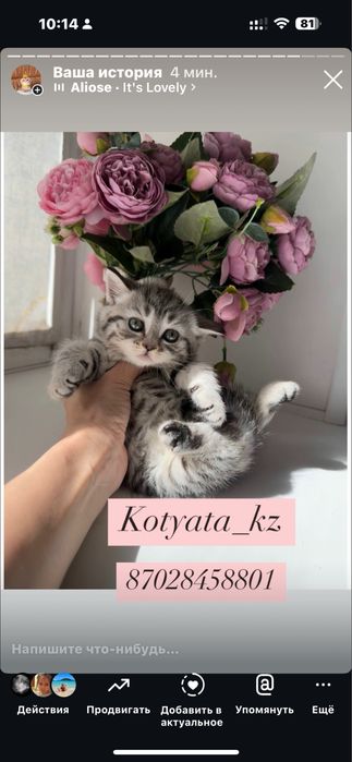 Шикарные мрамора с документами
