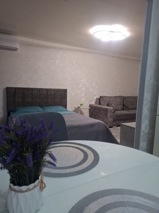 1 комнатная посуточно