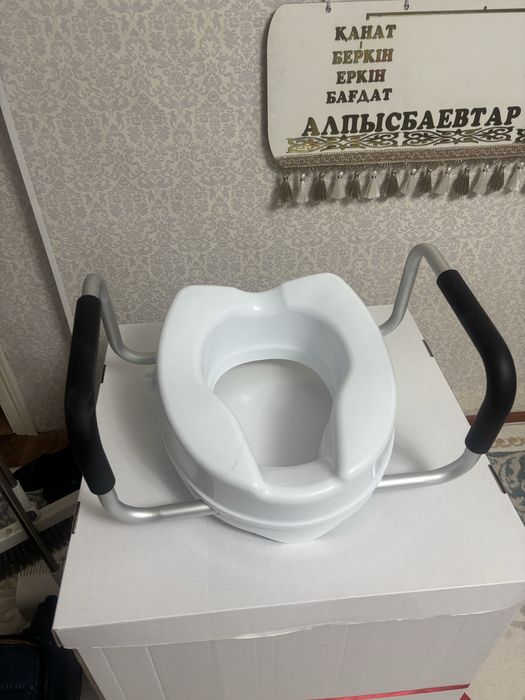 Улкен адамдарга арналган туалет
