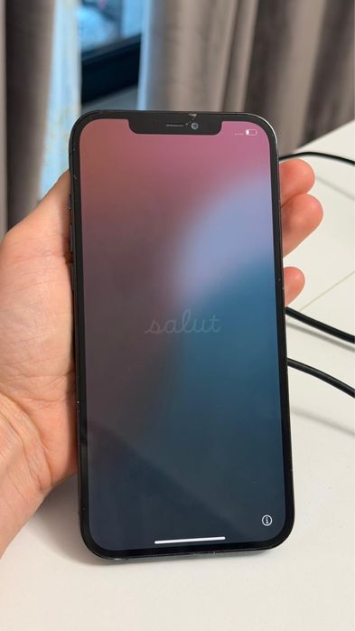 Iphone 12 Pro Max 256 Gb