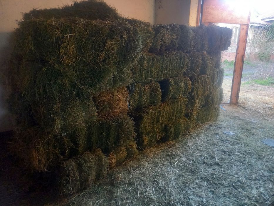 Vand baloti de lucerca