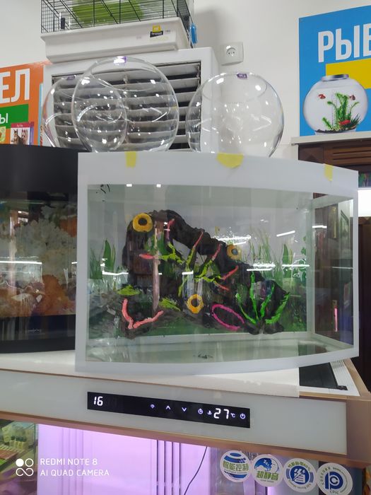 Akvaryum avalniy New Mirobod  tumanida