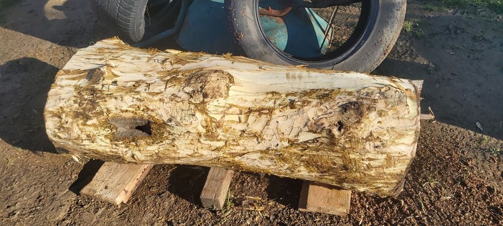 Nuc truchi lemn superb.decorjit