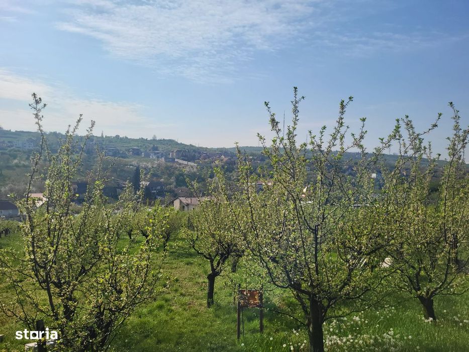 Teren intravilan de vânzare – Oradea, Strada Șanțului,