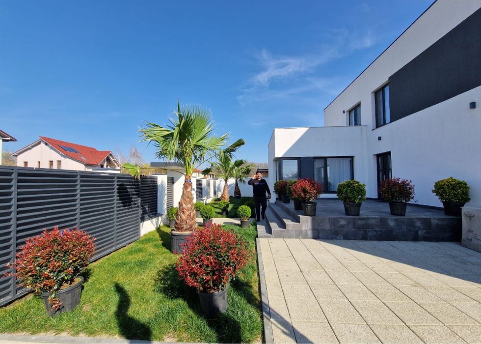 Plante ornamentale de orice specie suntem in cluj