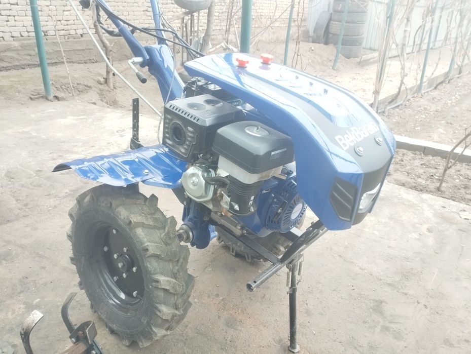 Matabulo'k kultvatr 19 talik