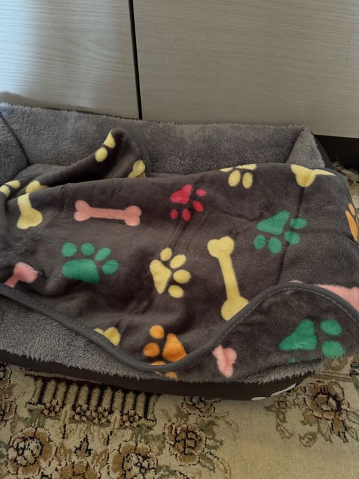 набор для собаки