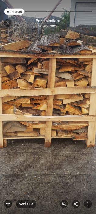 Lemn de foc la palet 350  lei. Dimensiune 1.2x1x1 exact ca in poze