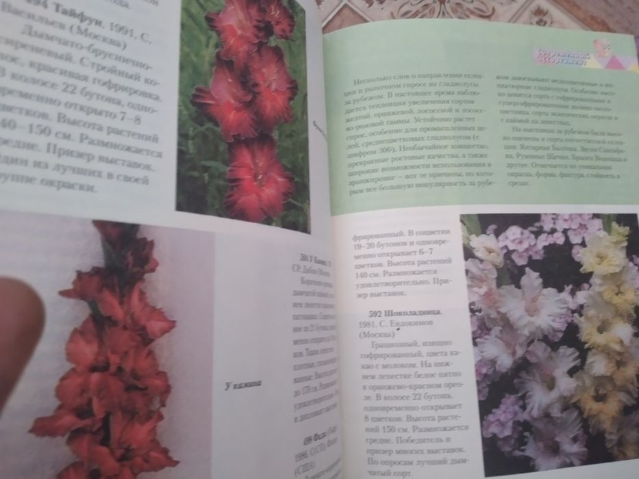 Все о цветах и растениях.Книга