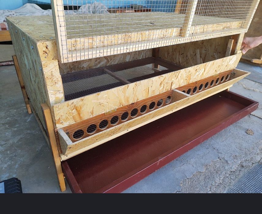 Брудер для цыплят