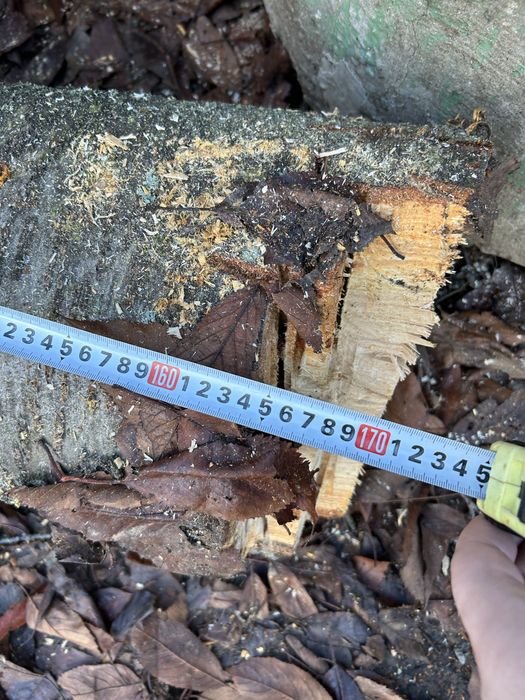 Черешов дървен материал