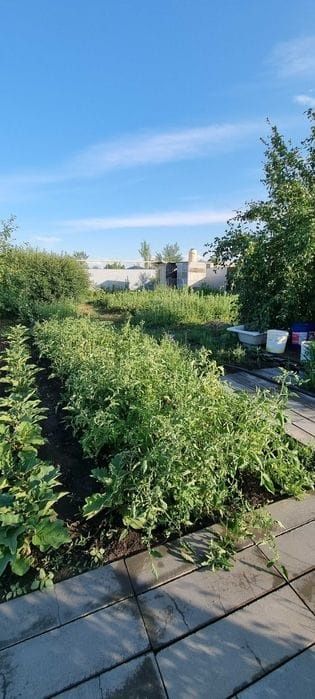 Продам земельный участок